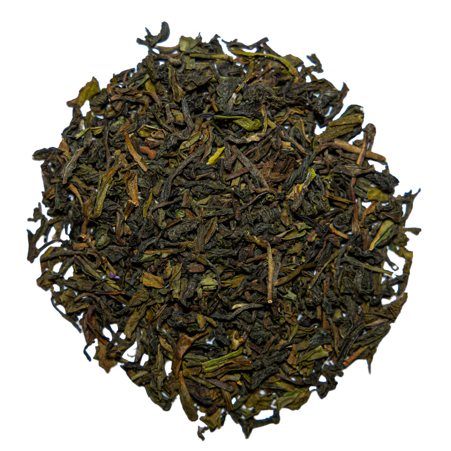Starker Bär - Bio Schwarzer Tee Darjeeling